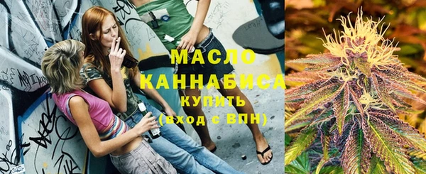 шишки Арсеньев