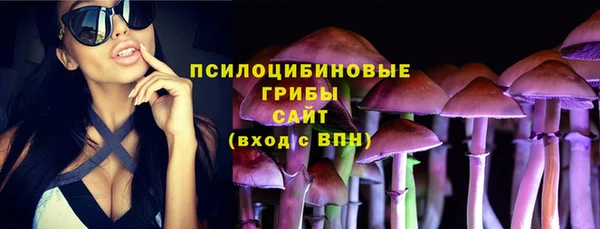 шишки Арсеньев