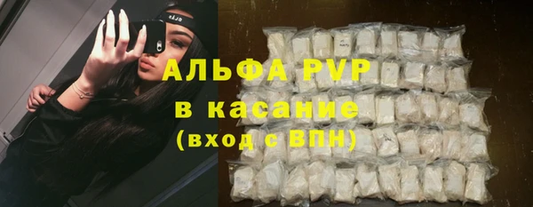шишки Арсеньев