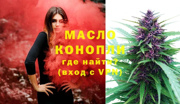 шишки Арсеньев
