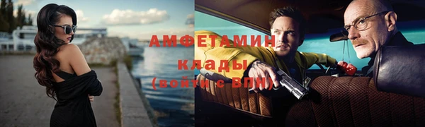 шишки Арсеньев