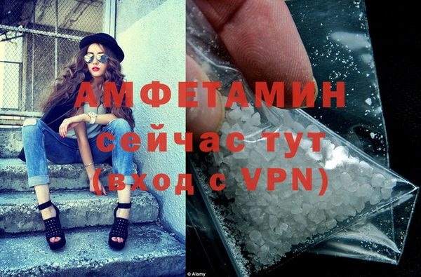 шишки Арсеньев
