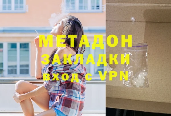 шишки Арсеньев